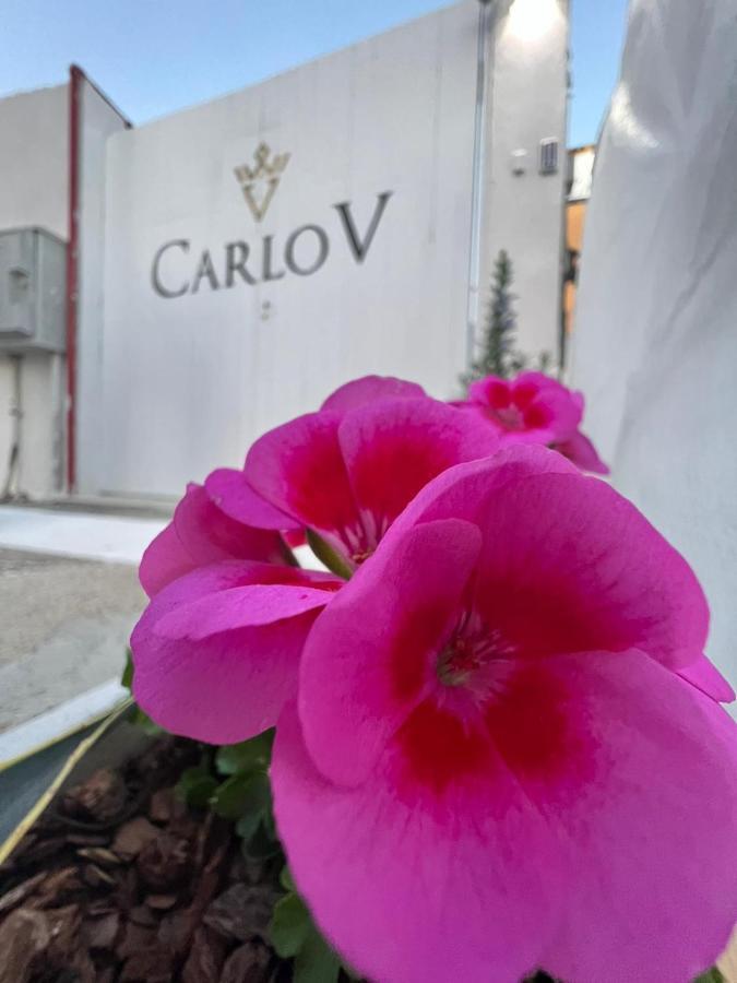 Carlo V - Holiday Rooms Porto Empedocle Exteriör bild
